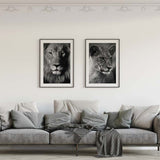 Decoración con cuadros, mural -  cuadro fotografía de leona en blanco y negro. Lámina decorativa de leona.