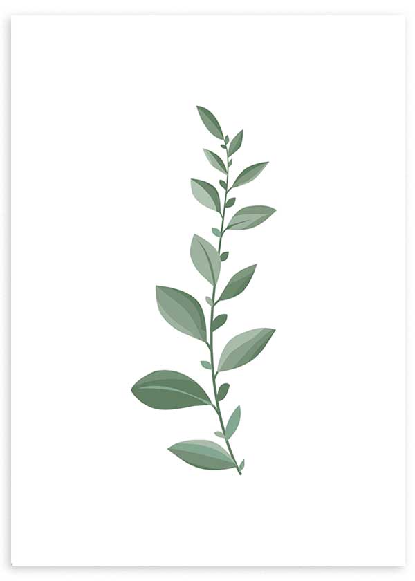 Gerahmtes Wandbild mit feinem Zweig, länglichen Blättern in Salbeigrün und Graugrün auf weißem Hintergrund, minimalistisch und ruhig gestaltet. Erhältlich auf kudeko.com