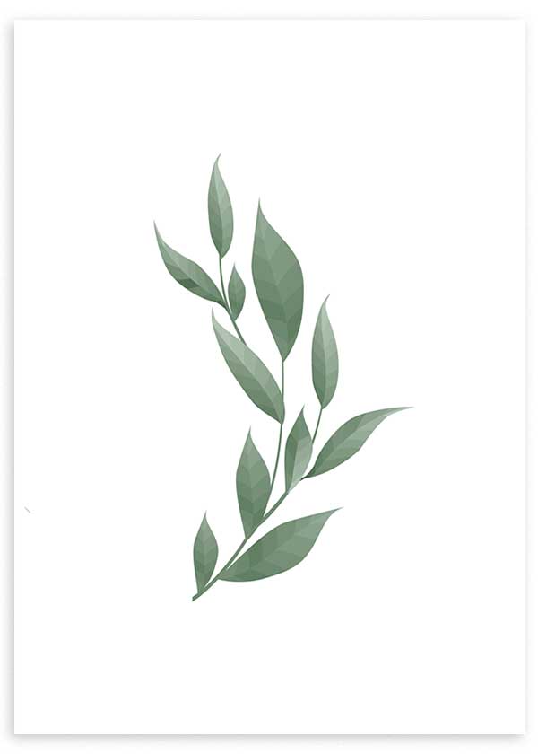 Cuadro con rama de hojas alargadas en verde salvia y gris verdoso sobre fondo blanco, de estilo minimalista. Disponible en kudeko.com