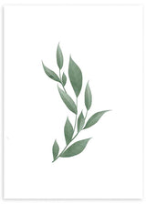 cuadro flor verde primavera. Lámina decorativa.